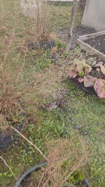 Для Дачников окончание.