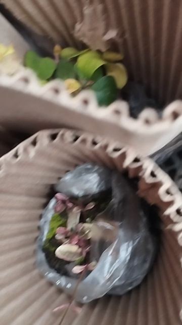 +32 Новинки! что интересного и нового пришло мне в апреле!