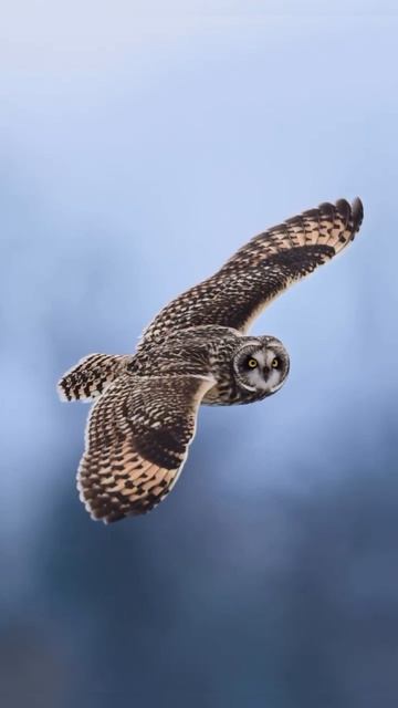 VID_20260417_132552_158.mp4