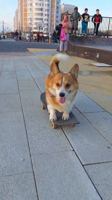 То, что остаётся за кадром: как мы снимаем ролики, где Марти катается на скейте