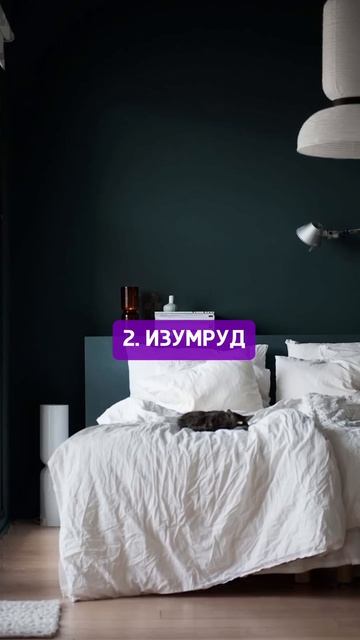 Твоя квартира будет выглядеть на миллион с этими цветами