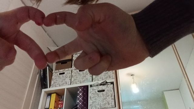 лп в гостях