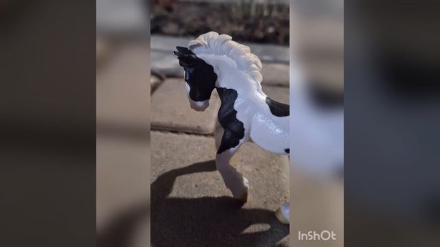 Лошади в мире.mp4