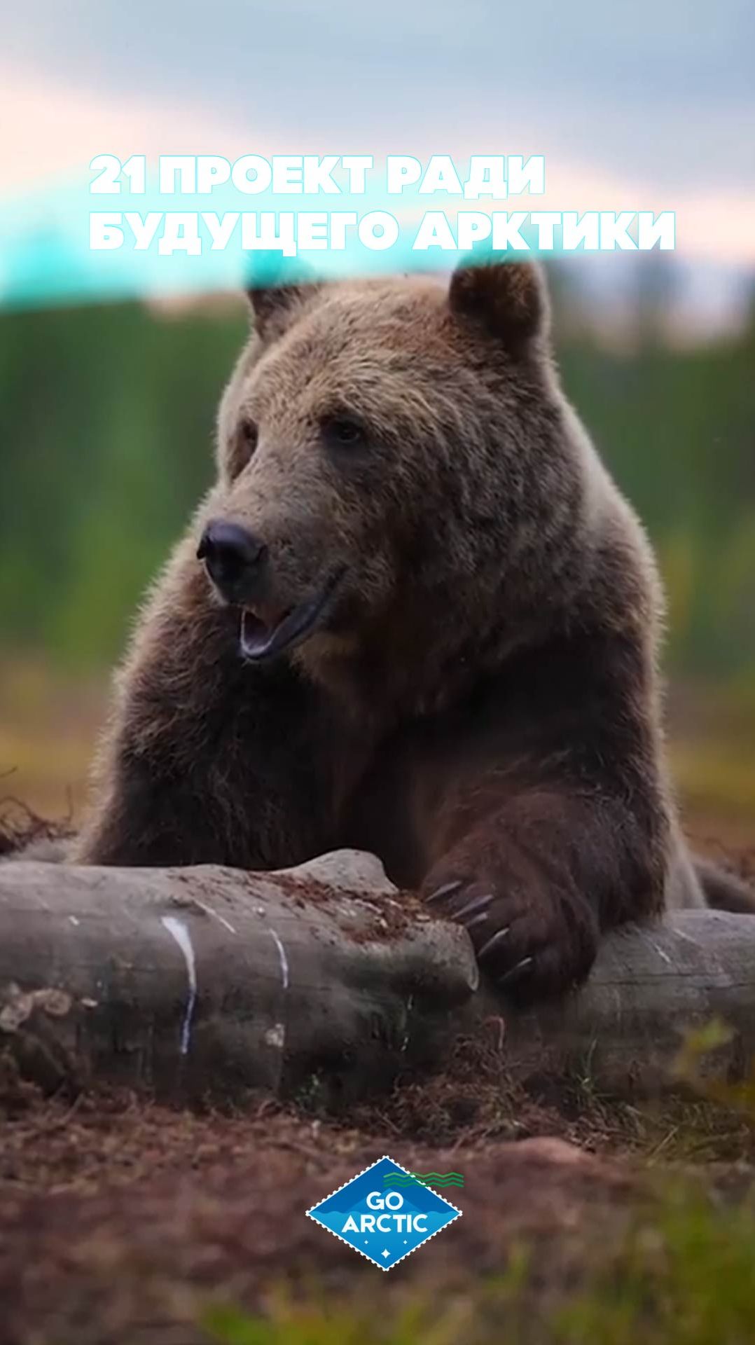 21 проект ради будущего Арктики