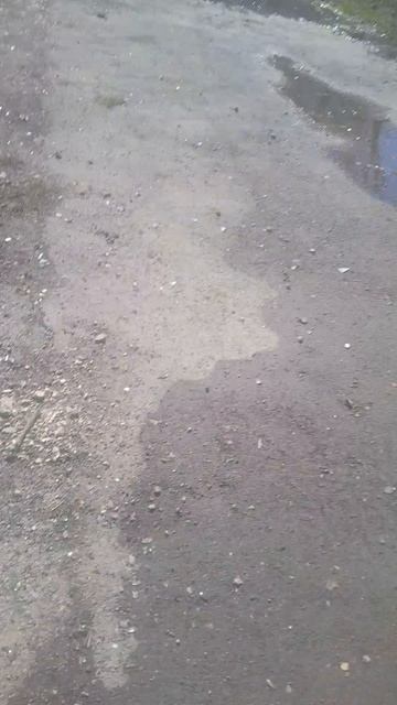 иду в школу, и эта срань не пропала