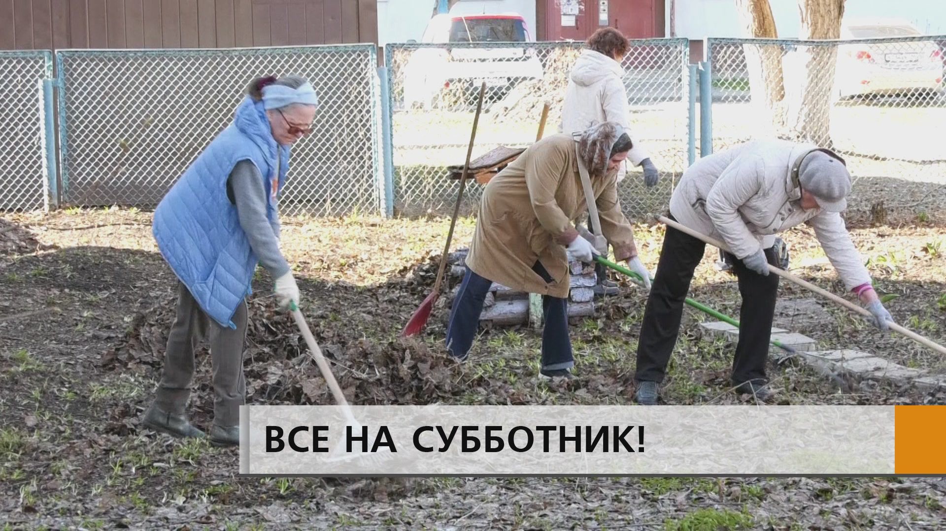 Не только собрали мусор и прошлогоднюю листву, но и занялись озеленением территории