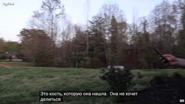 Газонокосилка нашей мечты уже здесь. СУБТИТРЫ. Эгине