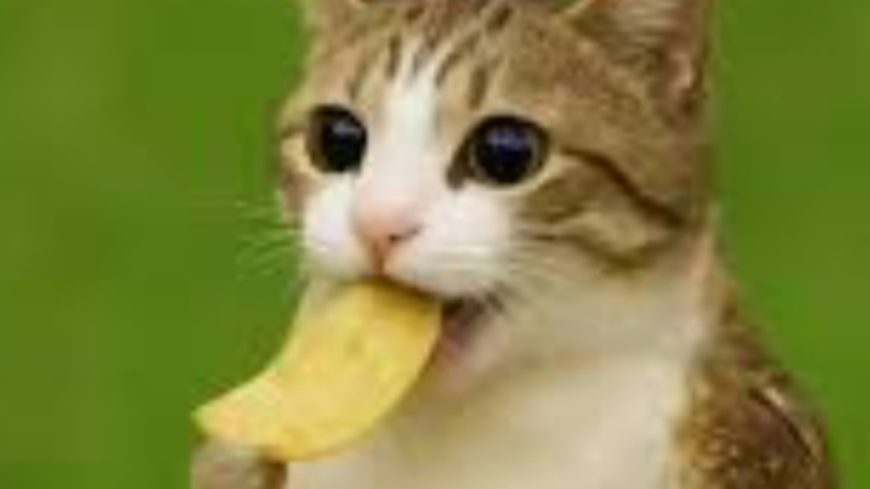 Выполняю задания от вас