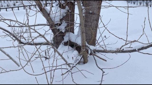 Л. Миллер. Картина рисована примитивистом...