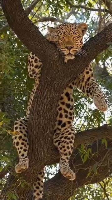 Прекрасного дня