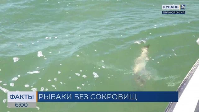 На Кубани у браконьеров изъяли порядка 390 кг черной и красной икры