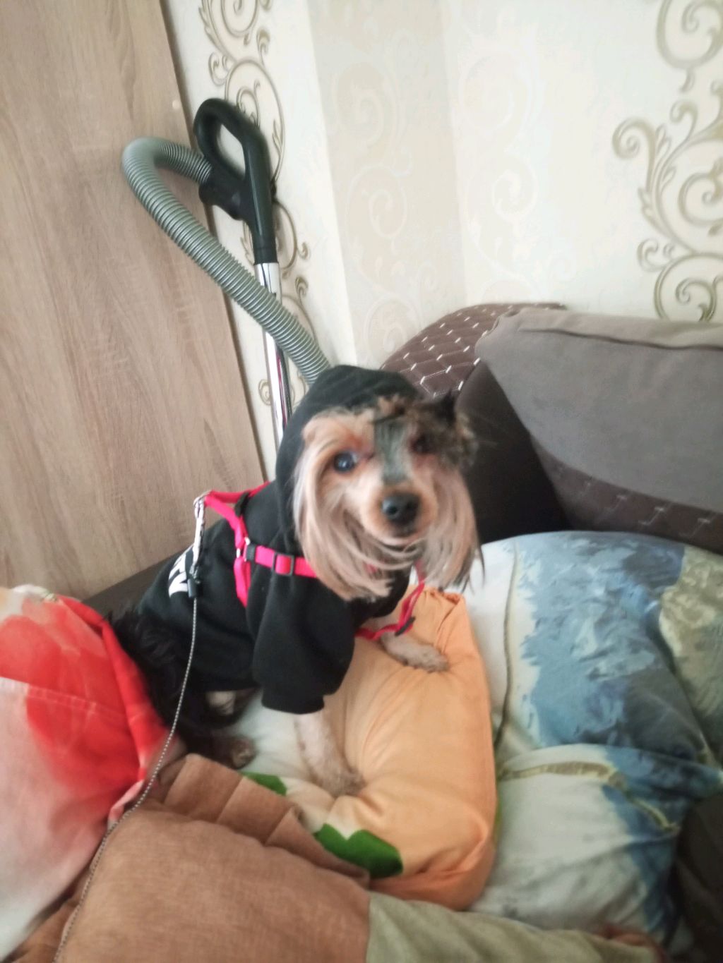 распаковка