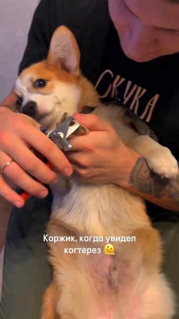 Каждый раз как в первый раз ↕️