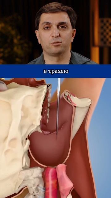 В чем секрет фокусников, которые легко глотают мечи