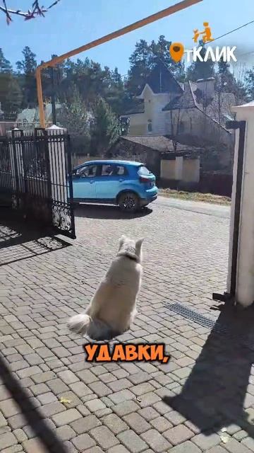 Сделано без боли. 👍