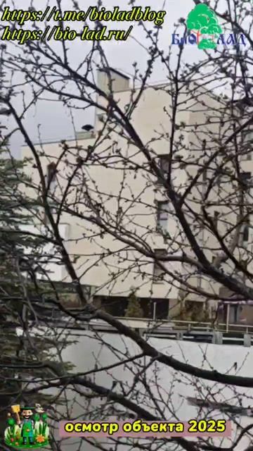 Объект 2025 года. Весенний осмотр