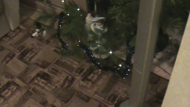 3)Ё ДОМА КОШКА