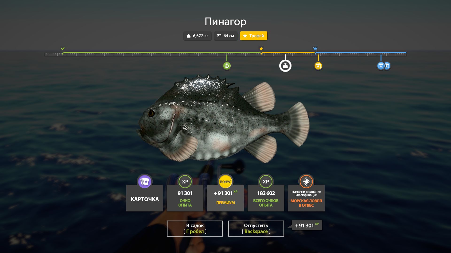 СУПЕР ФАРМЫ НА АХТУБЕ, АРХИПЕЛАГЕ И МОРЕ, РАЗДАЧИ ТРОФЕЕВ ОБЗОР ВОДОЕМОВ В РУССКОЙ РЫБАЛКЕ 4 РР4