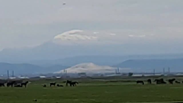 Красивая весна в Дагестане, красивый пейзаж шум ветра