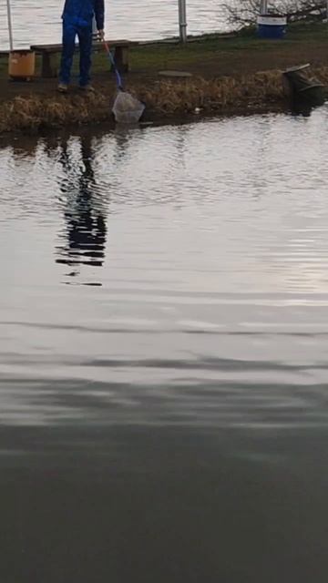 поиски форели Парусник.mp4