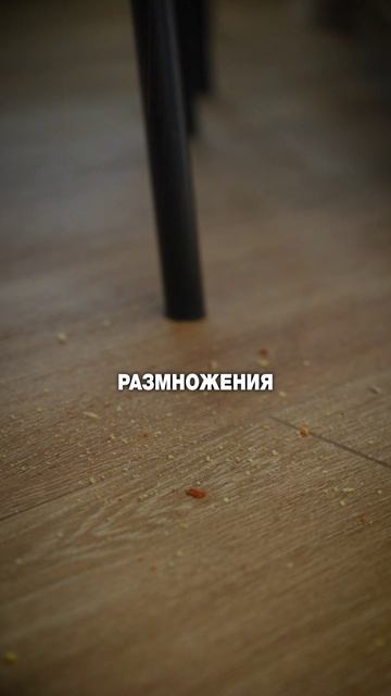 Kärcher - чистота, которой доверяют