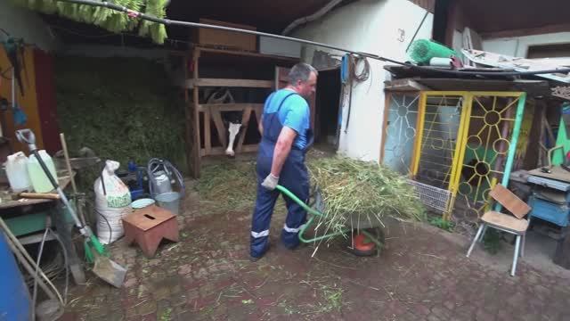 Влог от 31.07.2022