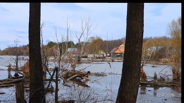2026/4/12: Зум-виды и панорамы озера Венера (пруд на Инре у с. Лопатки) с левого берега его верховья