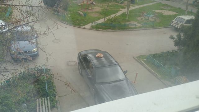 смотрю из окна и вижу....