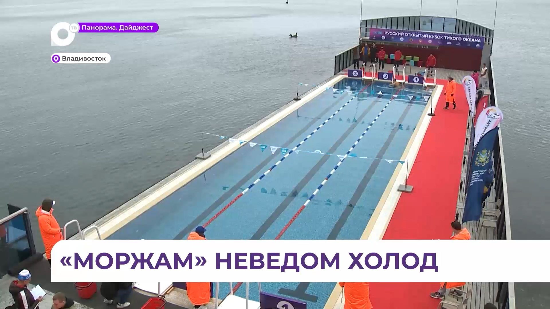 Во Владивостоке проходит чемпионат ВМФ по зимнему плаванию