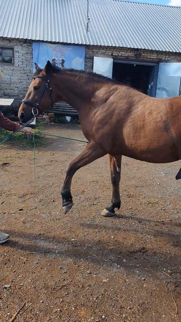 29 сентября 2024 г.