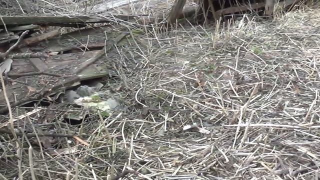 ОГОРОД💥   РАБОТА ПРОДОЛЖАЕТСЯ 💥 ПОДПИШИСЬ💯