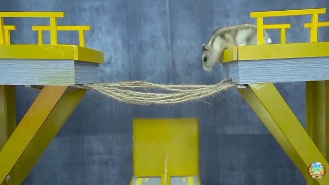 Хомячок убегает из ловушки голодных акул в водном лабиринте! часть 7