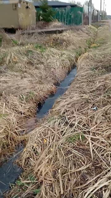 Сделал кормушку своими руками!