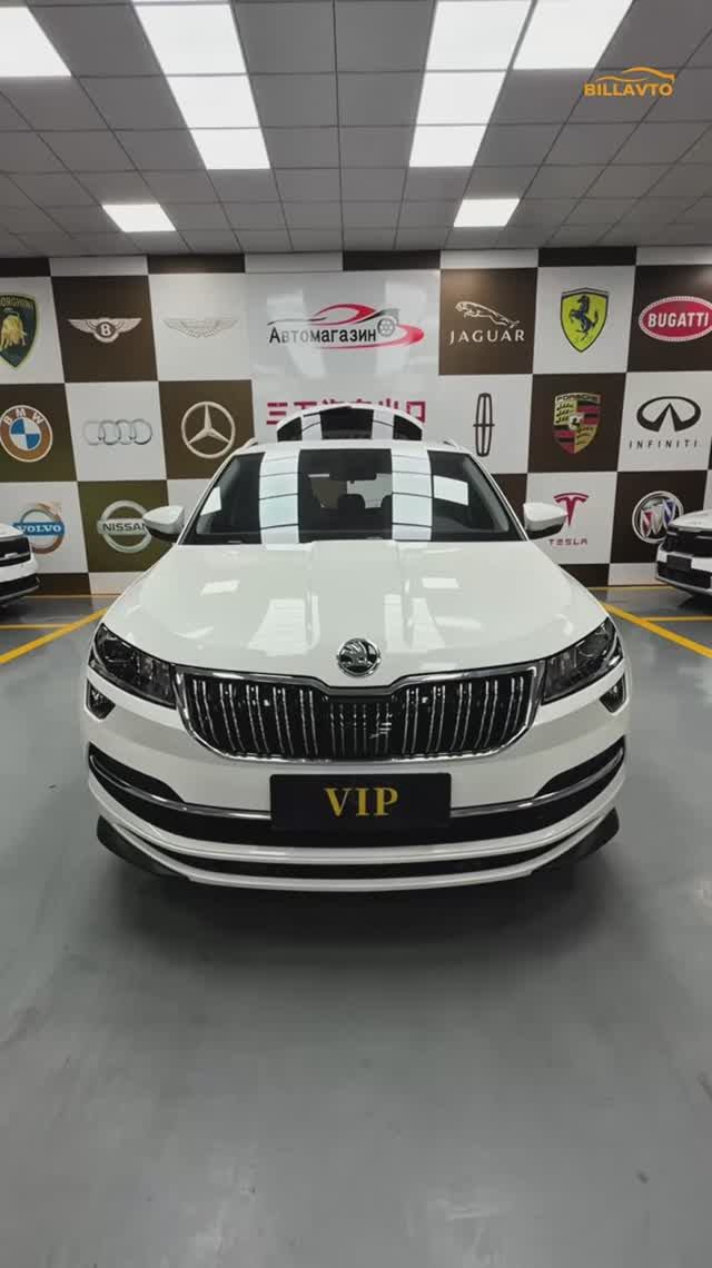 🔥В продаже SKODA KAROQ из Китая🔥