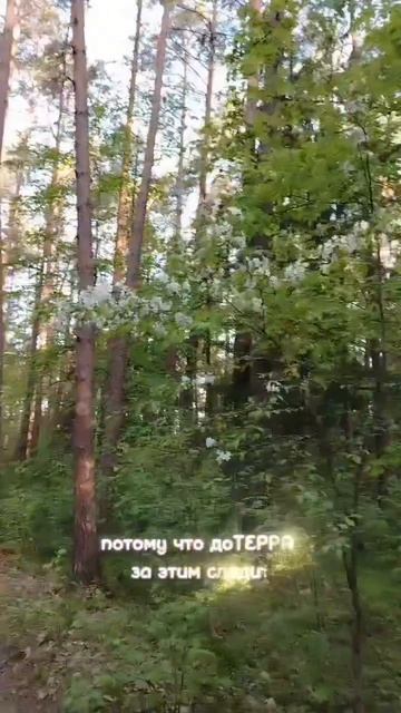 как у бабушки только лучше