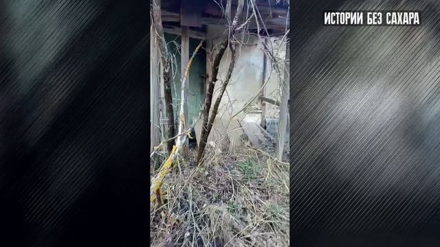 Сердце чувствовало