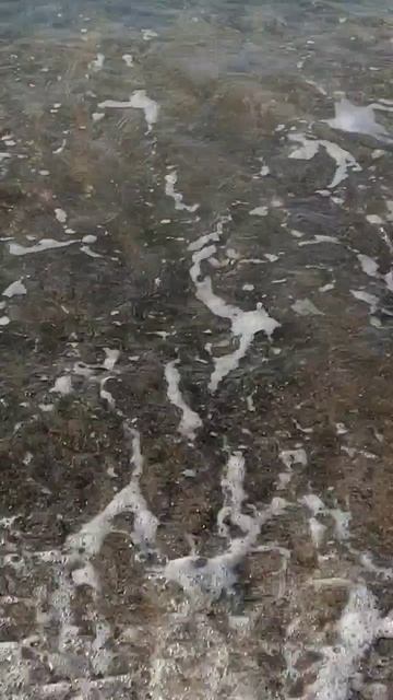 Море ждёт гостей! Анапа ждёт!