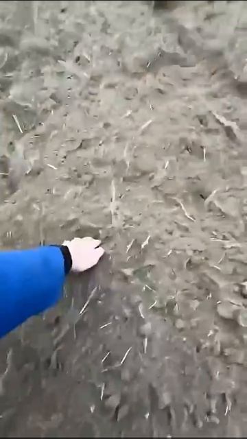 Виктор Потопешкин, отзыв на фрезу Кerland 1.2 м