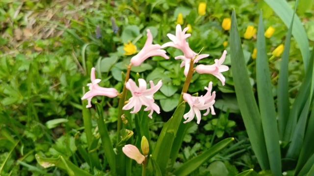 Доброго весеннего дня!💚