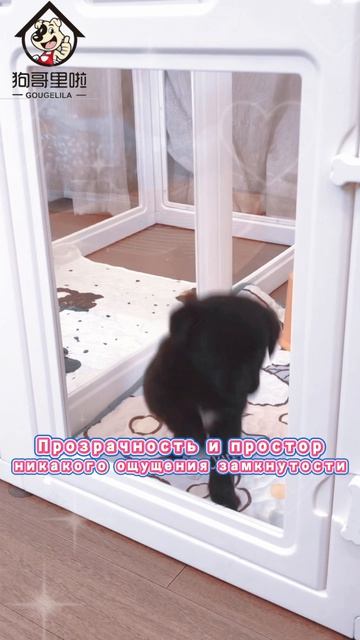 🐶💕 Забудьте о тревоге разлуки!