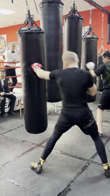 Шахбокс Кубок Лидеров СПб и Ленобласти финал фит, дисциплина шахфит.