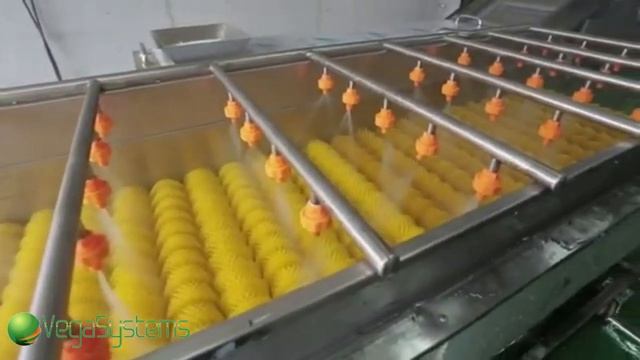 Машина для деликатной мойки овощей Вега/Vega Del Wash F15