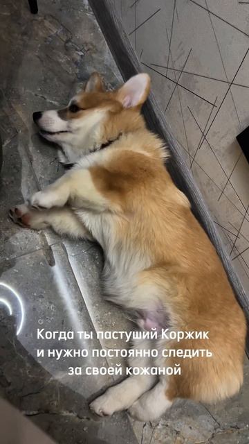 И так каждый раз