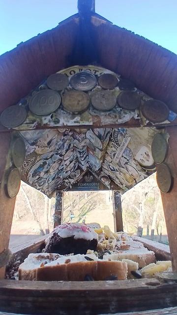 1000015535.mp4Жизнь кормушки.17.04.2026г.