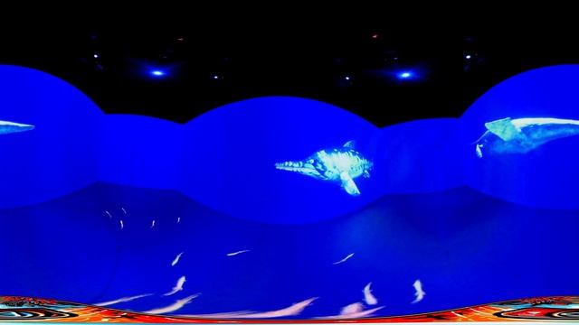 Natural History Center Svilajnac  Time Travel Prirodnjački Centar Svilajnac 360 Video 4k