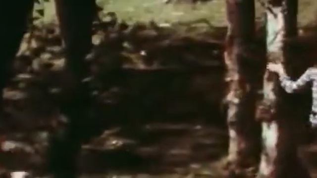 Хатуна Котрикадзе Эко И Рамаз Гиоргобиани (Веселый Роман 1972)