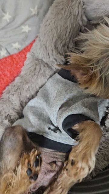 Доброе утро от Эвочки-Жанночки в ночной пижамочке)