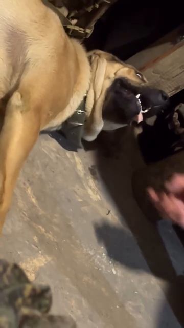 Все мы на пятый год СВО, экономим силы и чего-то ждем)  Будьте как тушёнка!