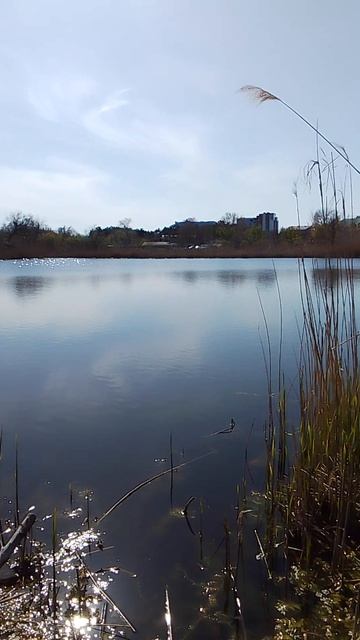 VID_20260416_153026.mp4