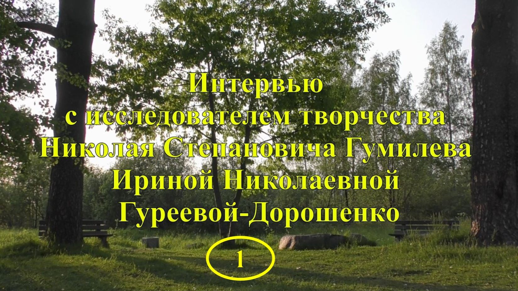 Интервью с председателем общественной палаты Всеволожского района И. Н. Гуреевой-Дорошенко
